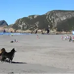 Preciosa + Playa + Jardin + Mascotas *