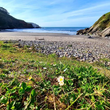 Preciosa + Playa + Jardin + Mascotas *