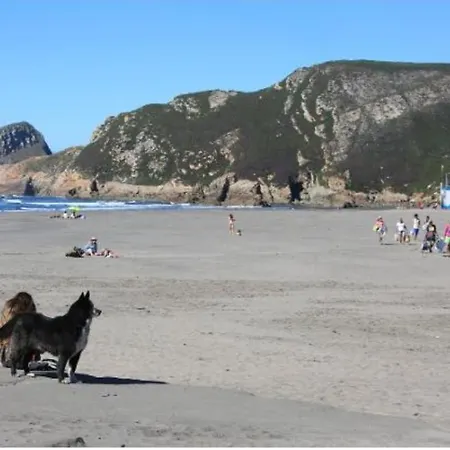 Preciosa + Playa + Jardin + Mascotas *